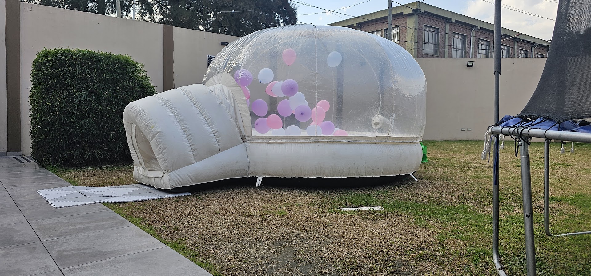 Cumpleaños 6